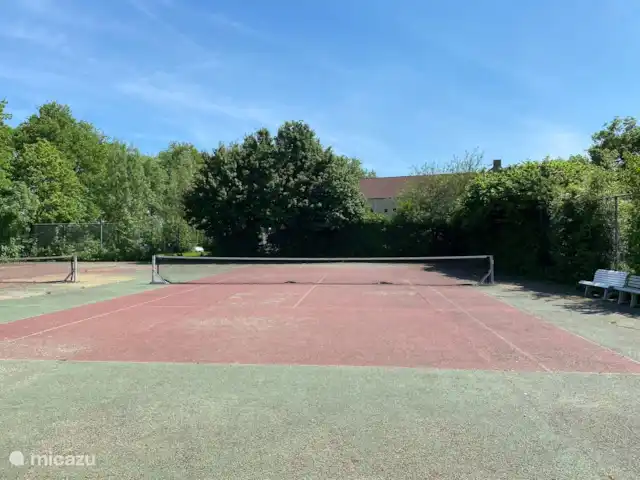6p. Boshuis *Jacuzzi*De Groene Specht | Pays-Bas, Gueldre, Ewijk - maison de vacances Court de tennis. Il y a des raquettes de tennis dans le chalet. Vous pouvez également en louer un supplément à la réception.