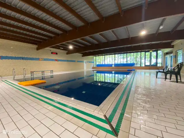 6p. Boshuis *Jacuzzi*De Groene Specht | Pays-Bas, Gueldre, Ewijk - maison de vacances Piscine