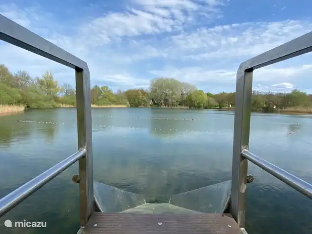 6p. Boshuis *Jacuzzi*De Groene Specht | Pays-Bas, Gueldre, Ewijk - maison de vacances Toboggan dans le lac de baignade