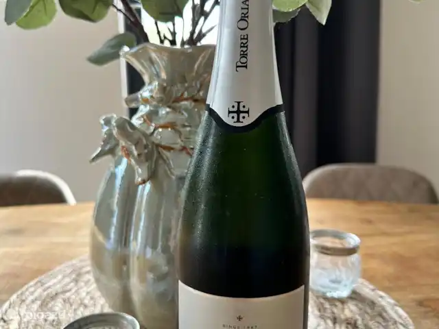 6p. Boshuis *Jacuzzi*De Groene Specht | Pays-Bas, Gueldre, Ewijk - maison de vacances Délicieux cava de notre part !