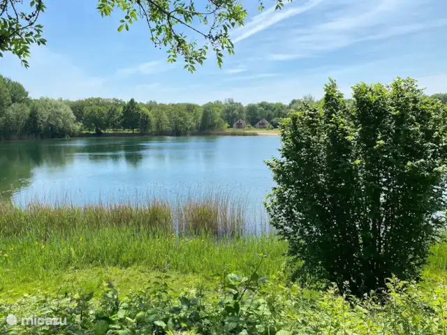 6p. Boshuis *Jacuzzi*De Groene Specht | Pays-Bas, Gueldre, Ewijk - maison de vacances Lac de baignade à distance de marche