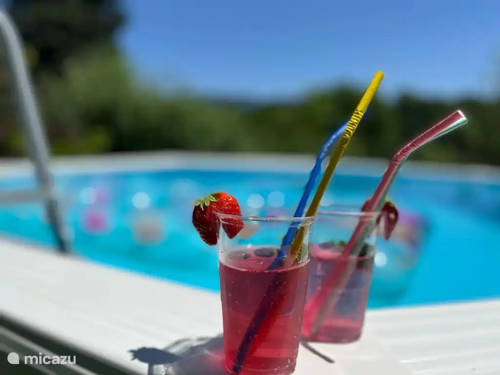 Vom 1. Juni bis Anfang September haben wir ein Schwimmbad in unserem Garten