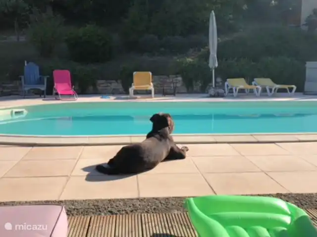 Margarita en Francia, Lot,  Salviac - casa vacacional En la piscina