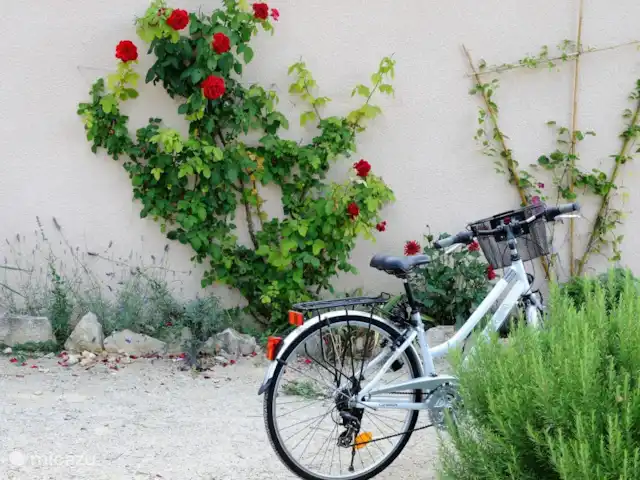 Margarita en Francia, Lot,  Salviac - casa vacacional Bicicletas en la casa