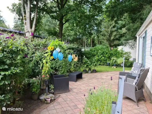 chalet en Países Bajos, Güeldres, Wissel – Veluwe Coqueteo Aquí puedes sentarte al sol.