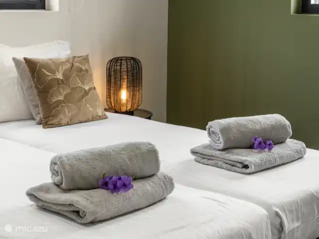 Villa Jasmijn avec piscine privée  | Curaçao, Curaçao-Centre, Willemstad - villa Serviettes