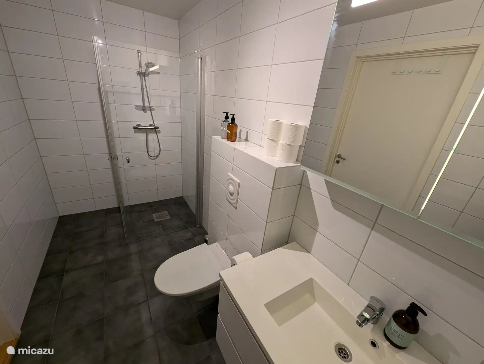 Salle de bain moderne avec WC et douche à l’italienne. Serviettes, gel douche et shampoing inclus.
