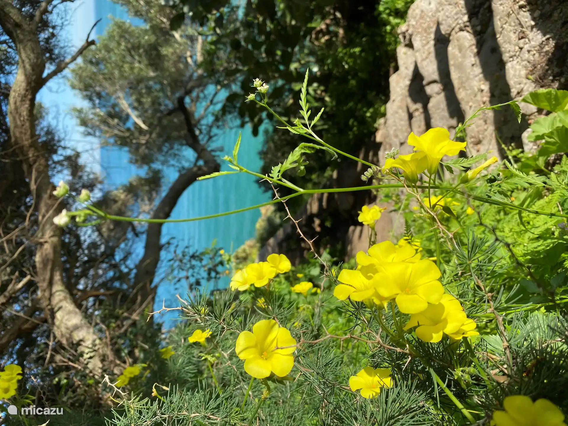 Nachbarschaft.. Die Blau- und Grüntöne des Wassers sind bezaubernd. Es gibt so viele versteckte kleine Wanderwege, die Sie von der Tür des Gebäudes direkt zu den malerischen Klippen führen.