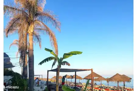 Plage relax