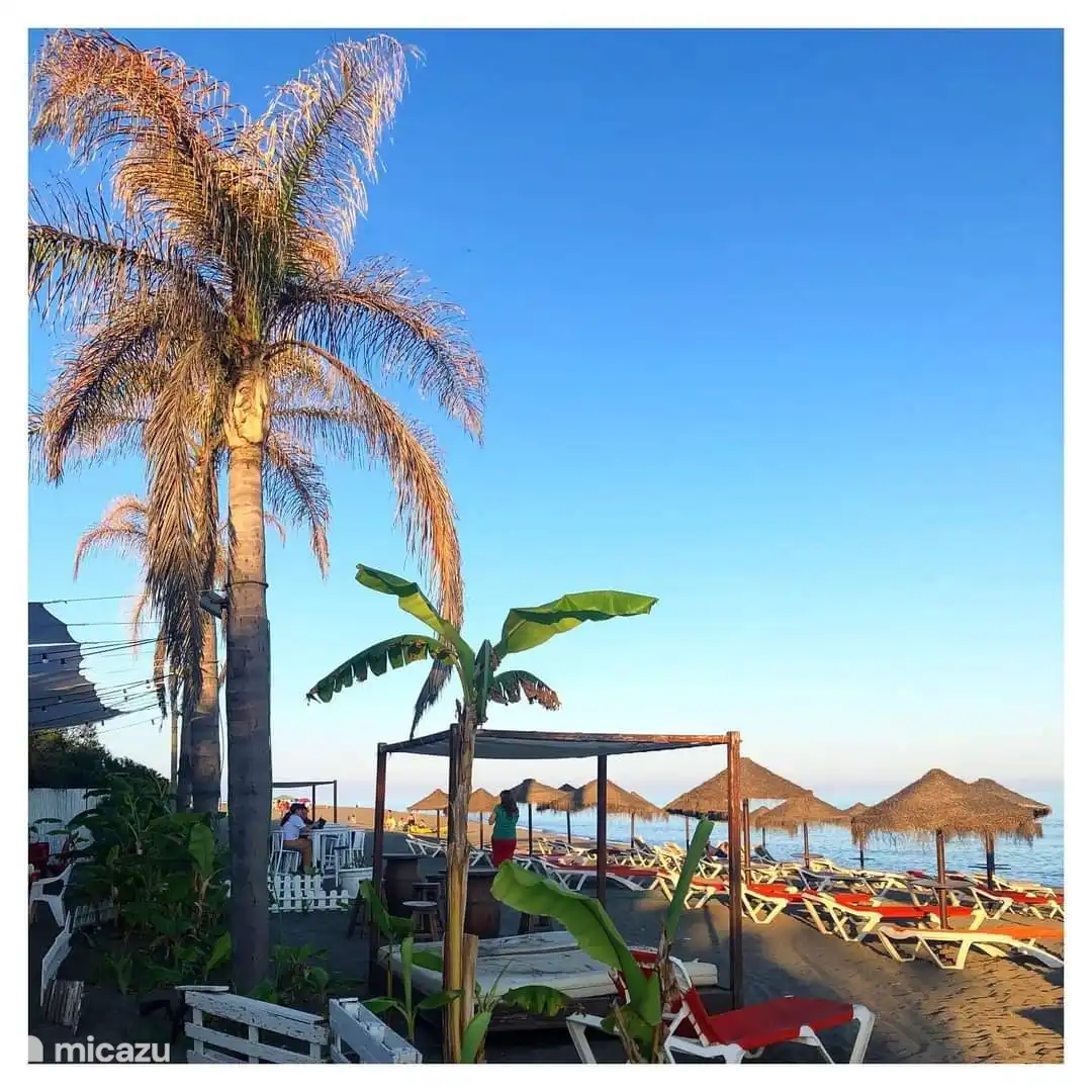 Uno de los deliciosos restaurantes de la playa con tapas, paella u otros platos