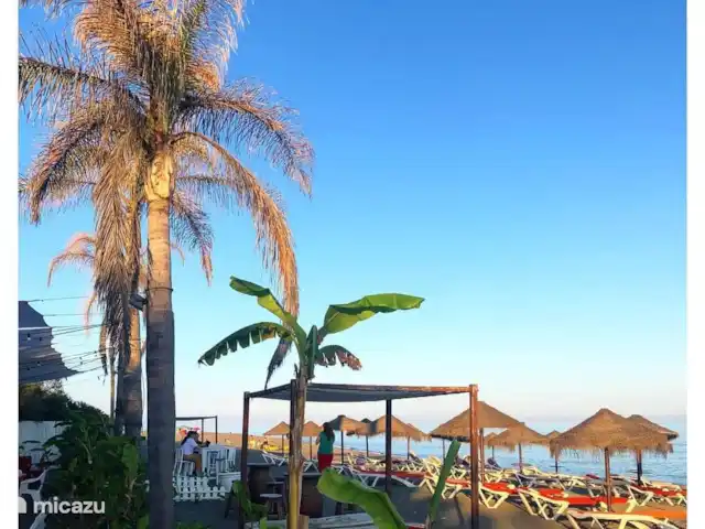 Penthouse Benajarafe à distance de marchemer | Espagne, Costa del Sol, Benajarafe - penthouse L’un des délicieux restaurants sur la plage avec des tapas, de la paella ou d’autres plats