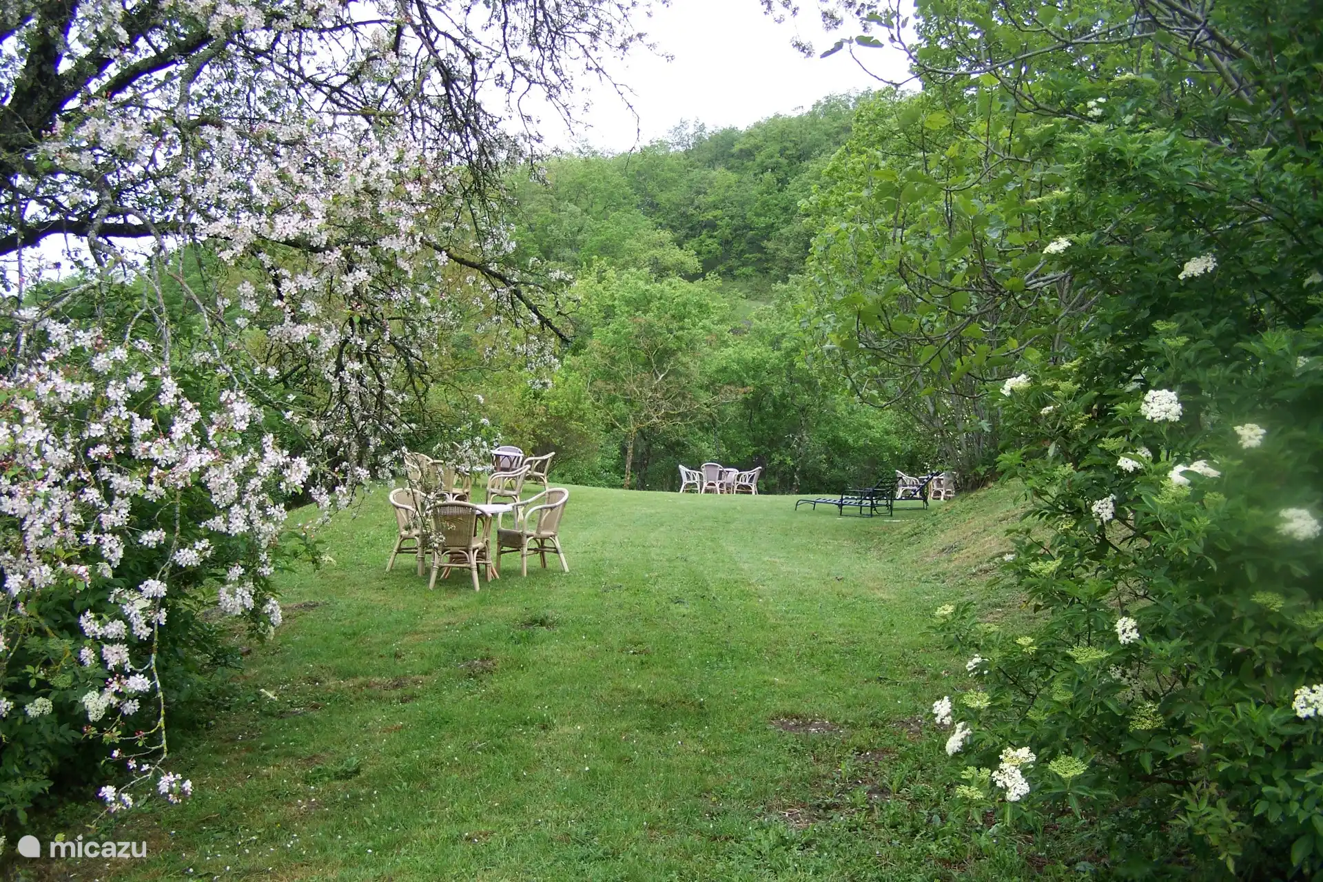 Die Liegewiese am Pool, eine Ebene tiefer als die Terrassen