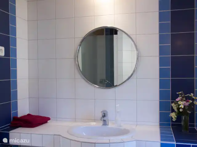 Garnacha en Francia, Aude, Sonnac-sur-l'Hers - casa vacacional Cada habitación tiene su propio cuarto de baño con ducha y WC