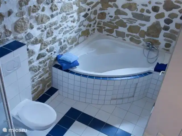Domaine La Flotte, una casa 3 en 1 en Francia, Aude, Sonnac-sur-l'Hers - casa vacacional Un baño con un ambiente especial