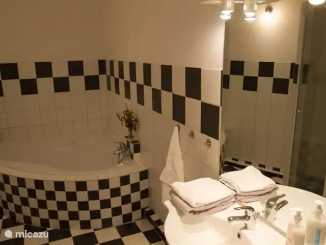 Domaine La Flotte, una casa 3 en 1 en Francia, Aude, Sonnac-sur-l'Hers - casa vacacional ... con el baño que lo acompaña