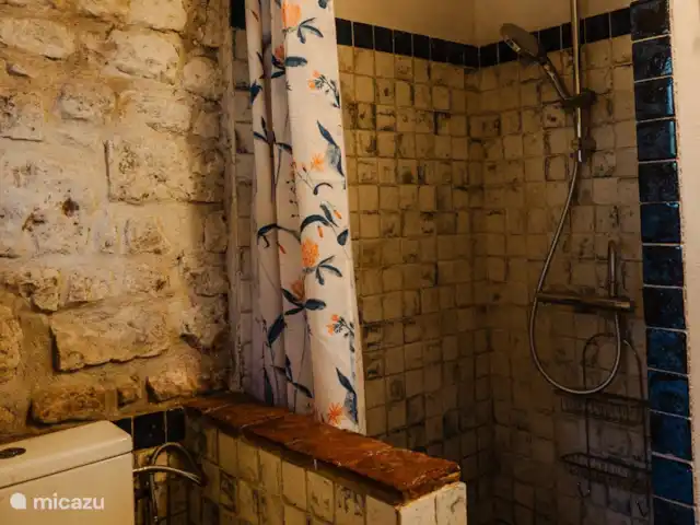 BienViennue (Vendredi - Dimanche) | France, Indre-et-Loire, Marcilly-sur-Vienne - maison de vacances Balzac salle de bain douche/wc