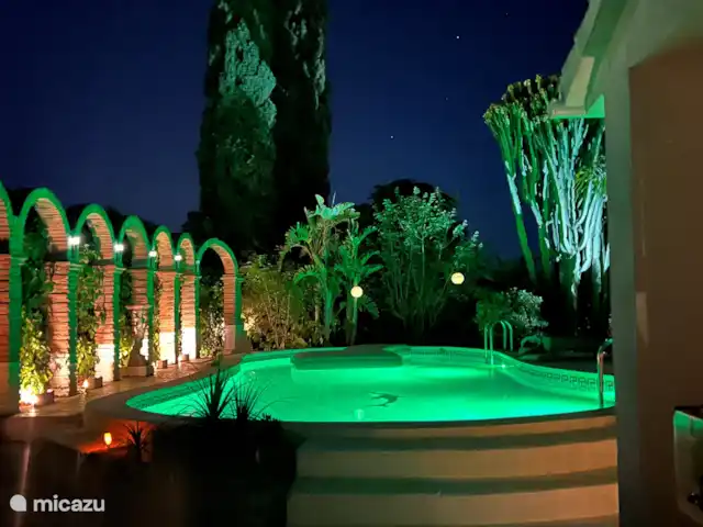 Finca Pipa | Espagne, Andalousie, Alhaurín el Grande - finca De belles soirées sous les étoiles avec différents éclairages de couleur de la piscine