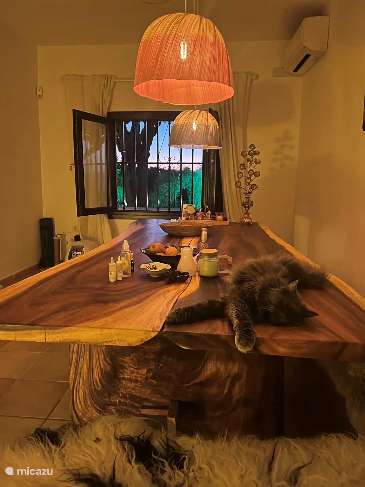 Spacious dinner table (without cat)