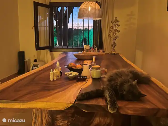 Finca Pipa | Espagne, Andalousie, Alhaurín el Grande - finca Table à manger spacieuse (sans chat)
