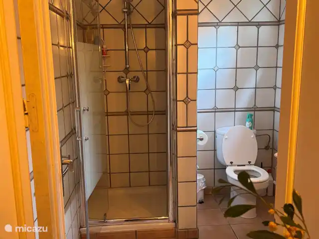 Finca Pipa | Espagne, Andalousie, Alhaurín el Grande - finca Salle de bain chambre deux