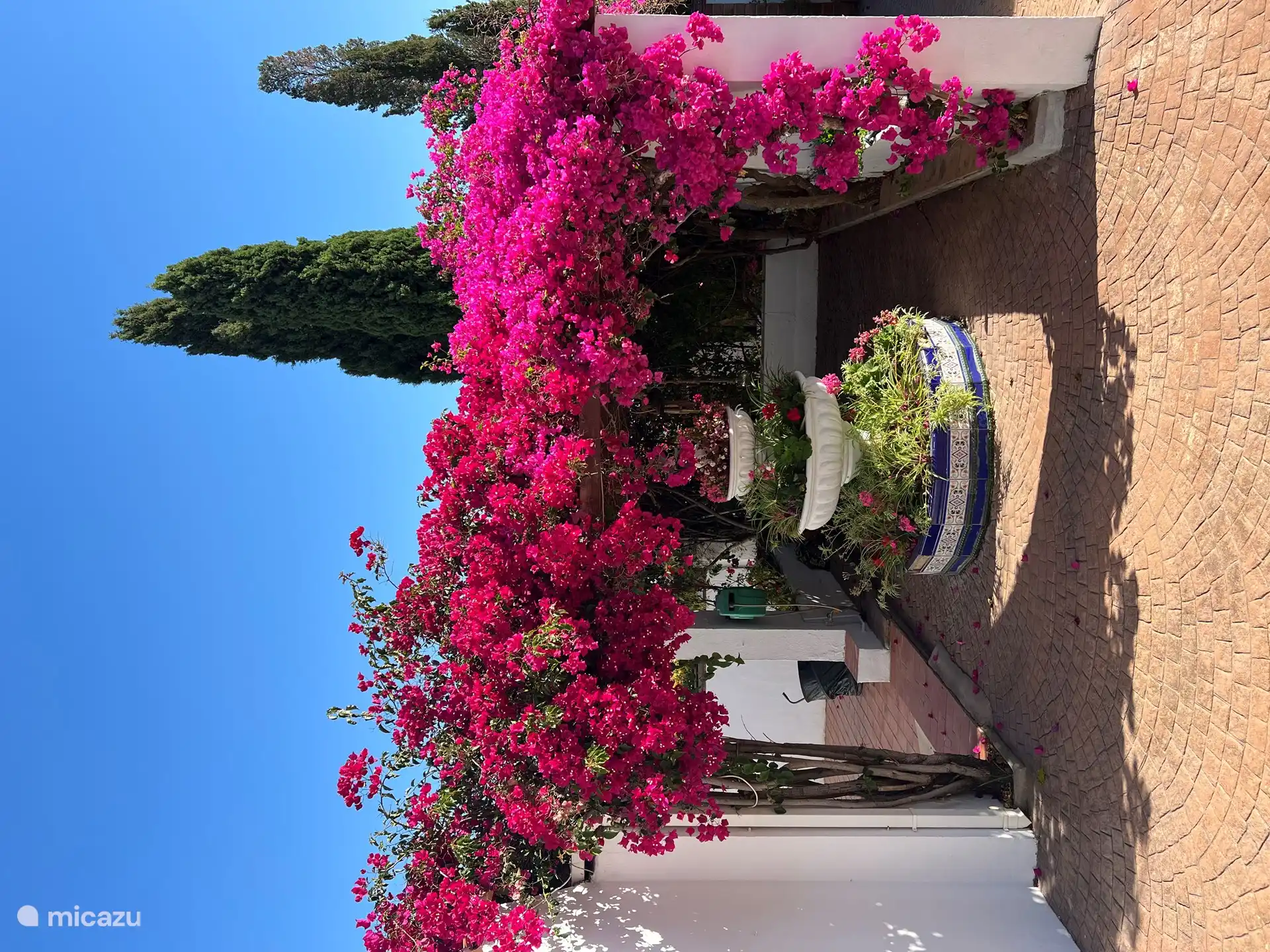 Courtyard garden with flower fountain and bougainvillea 