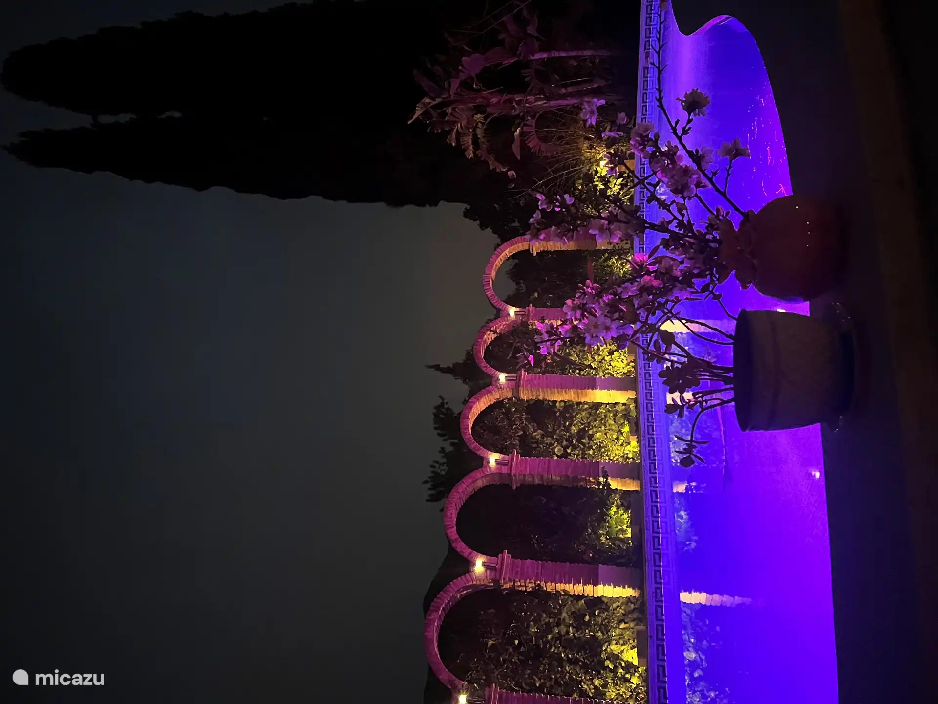 Chosen for purple today (;