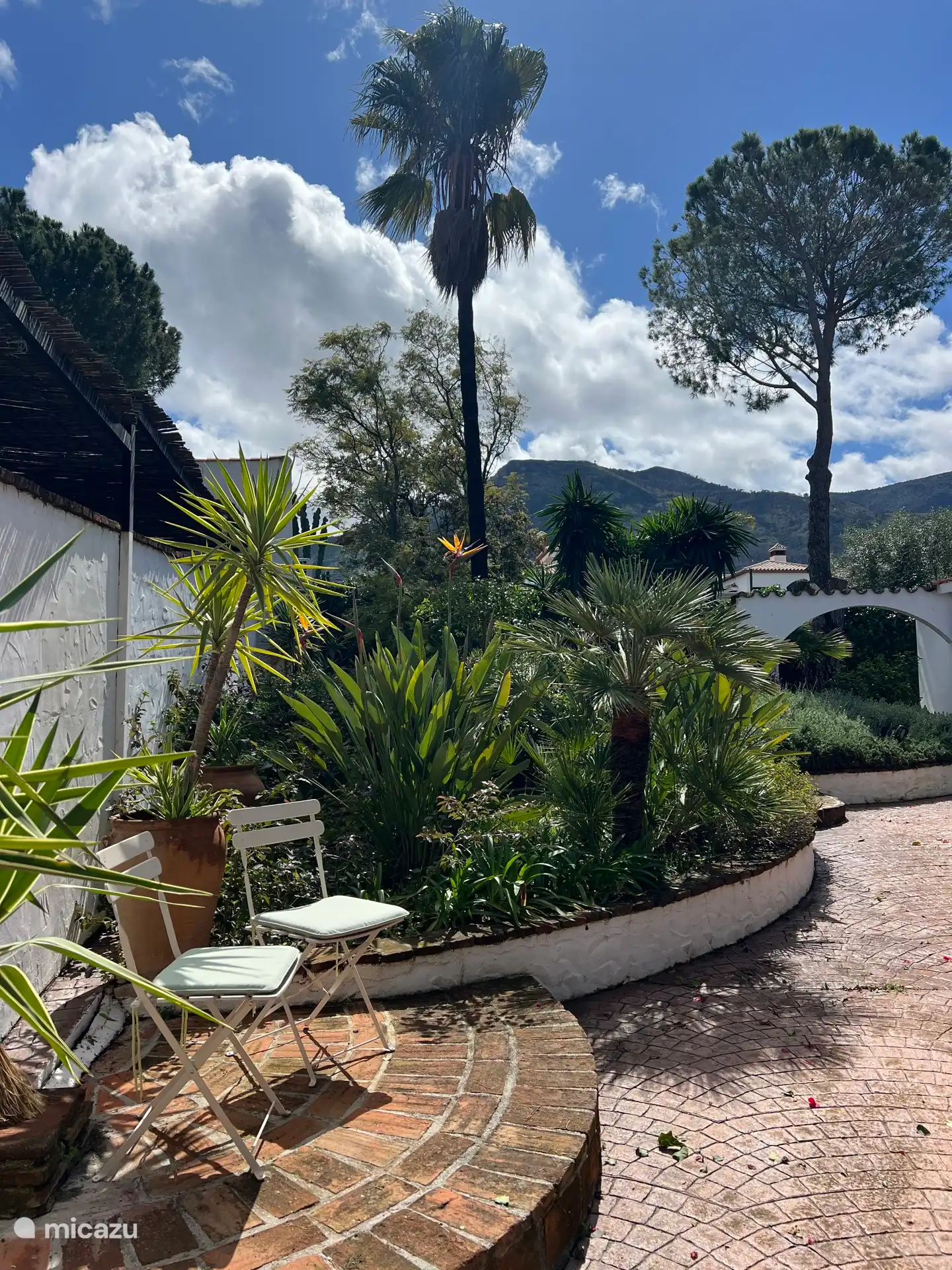 Courtyard garden with terrace