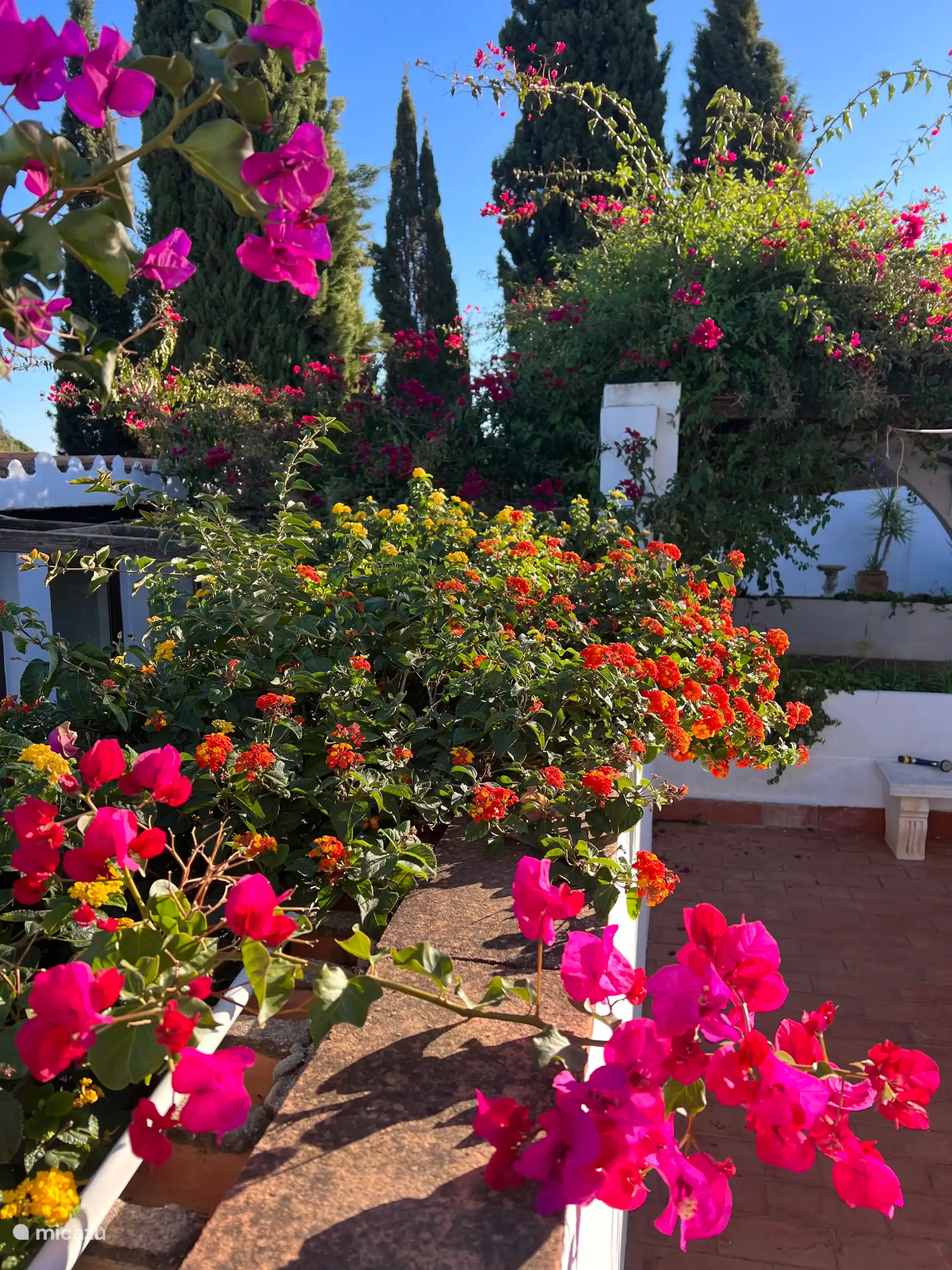Floral splendour on one of the many terraces