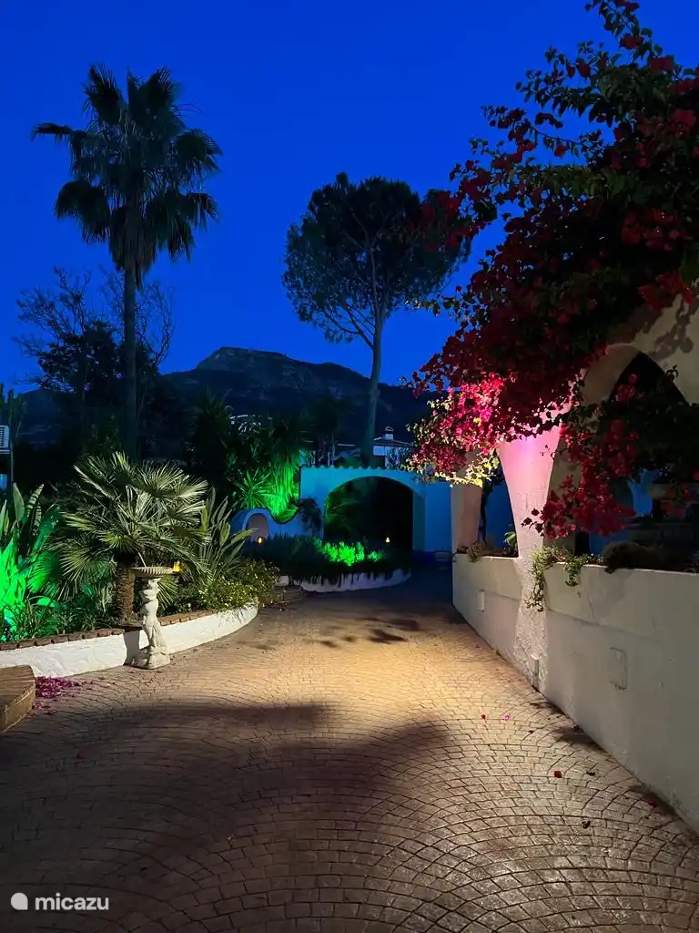 Courtyard under the stars