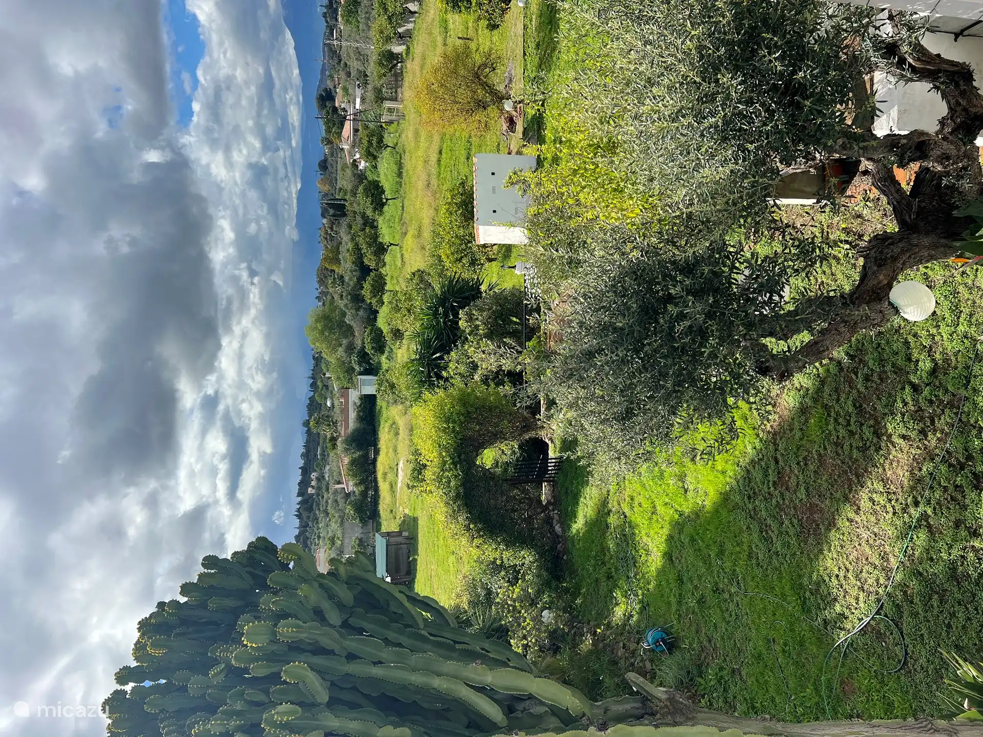 Garden with fruit trees leads to furthest white house (water source)