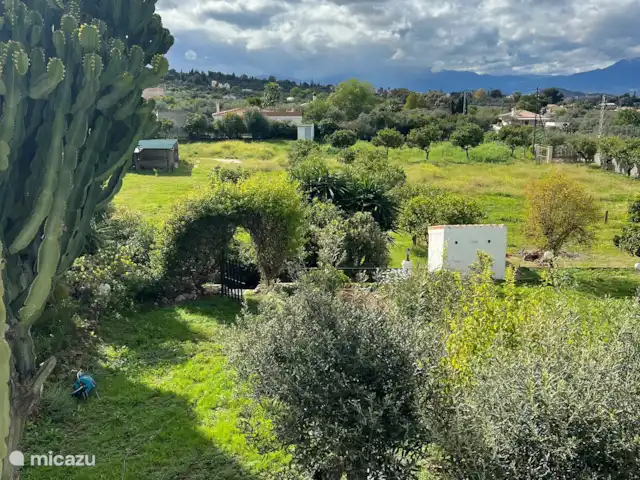 Finca Pipa | Espagne, Andalousie, Alhaurín el Grande - finca Le jardin avec des arbres fruitiers mène à la maison blanche la plus éloignée (source d’eau)