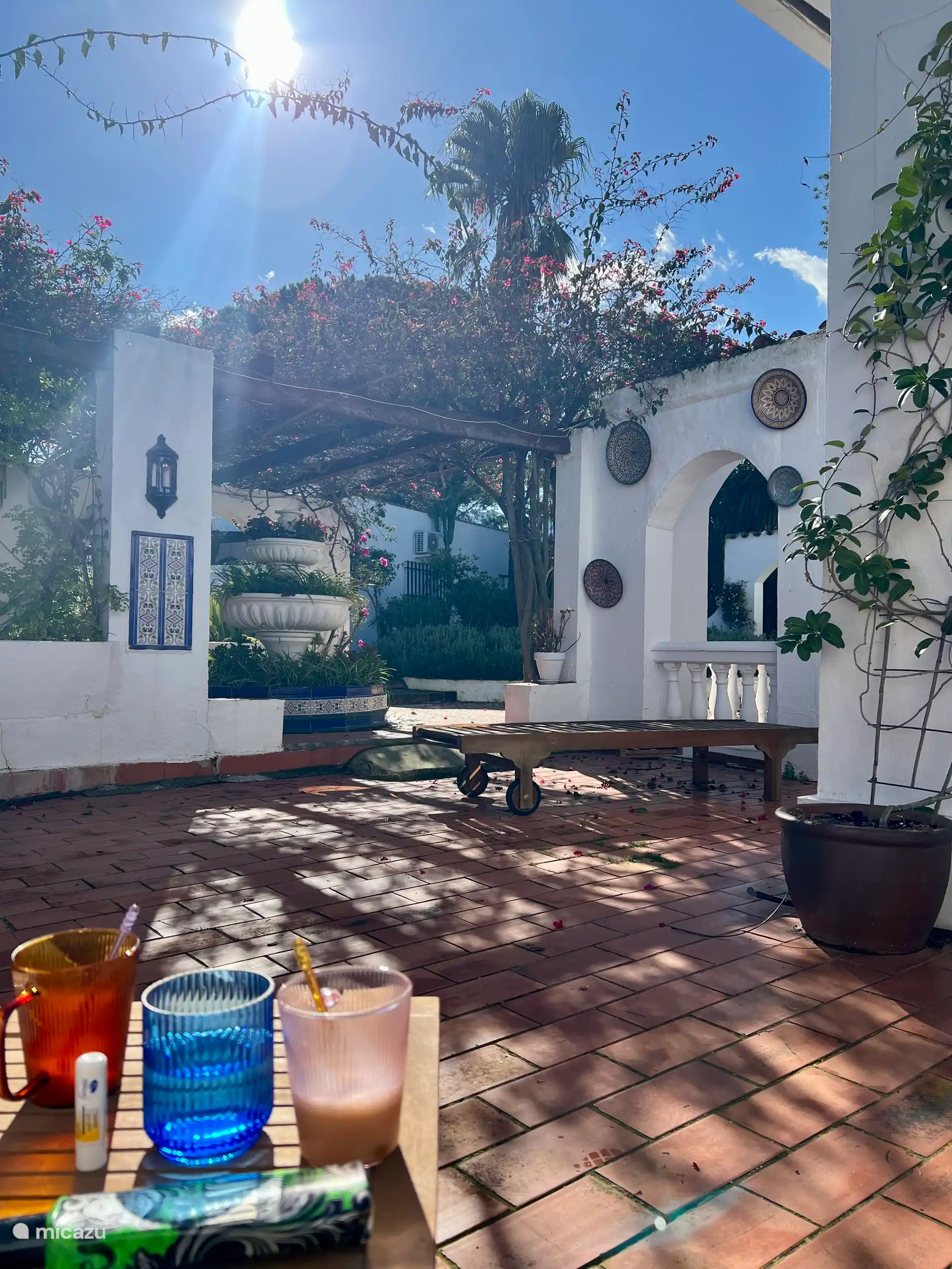 Courtyard garden/middle terrace