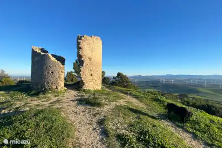 Médina-Sidonia