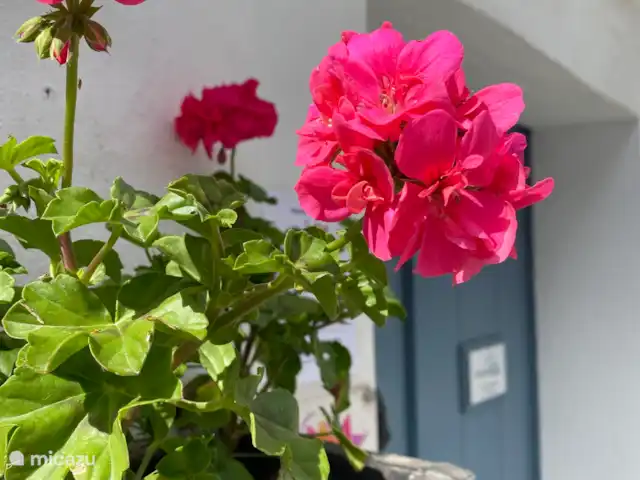 Victoria Seis - Casa de Anna | Espagne, Andalousie, Medina Sidonia - appartement Maison d’entrée