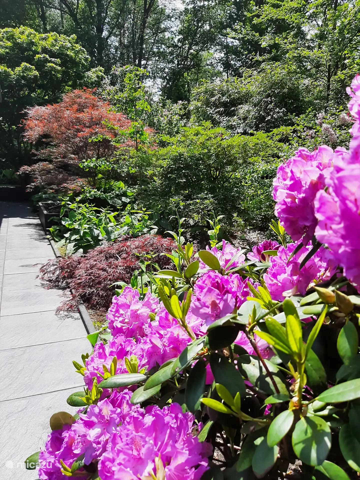 Jardin magnifiquement aménagé avec de beaux arbres, arbustes et plantes à fleurs 