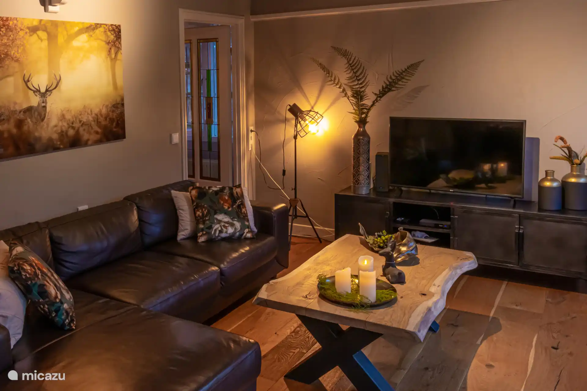 Décor d’ambiance avec télévision et son. Planchers de chêne dans toute la maison 