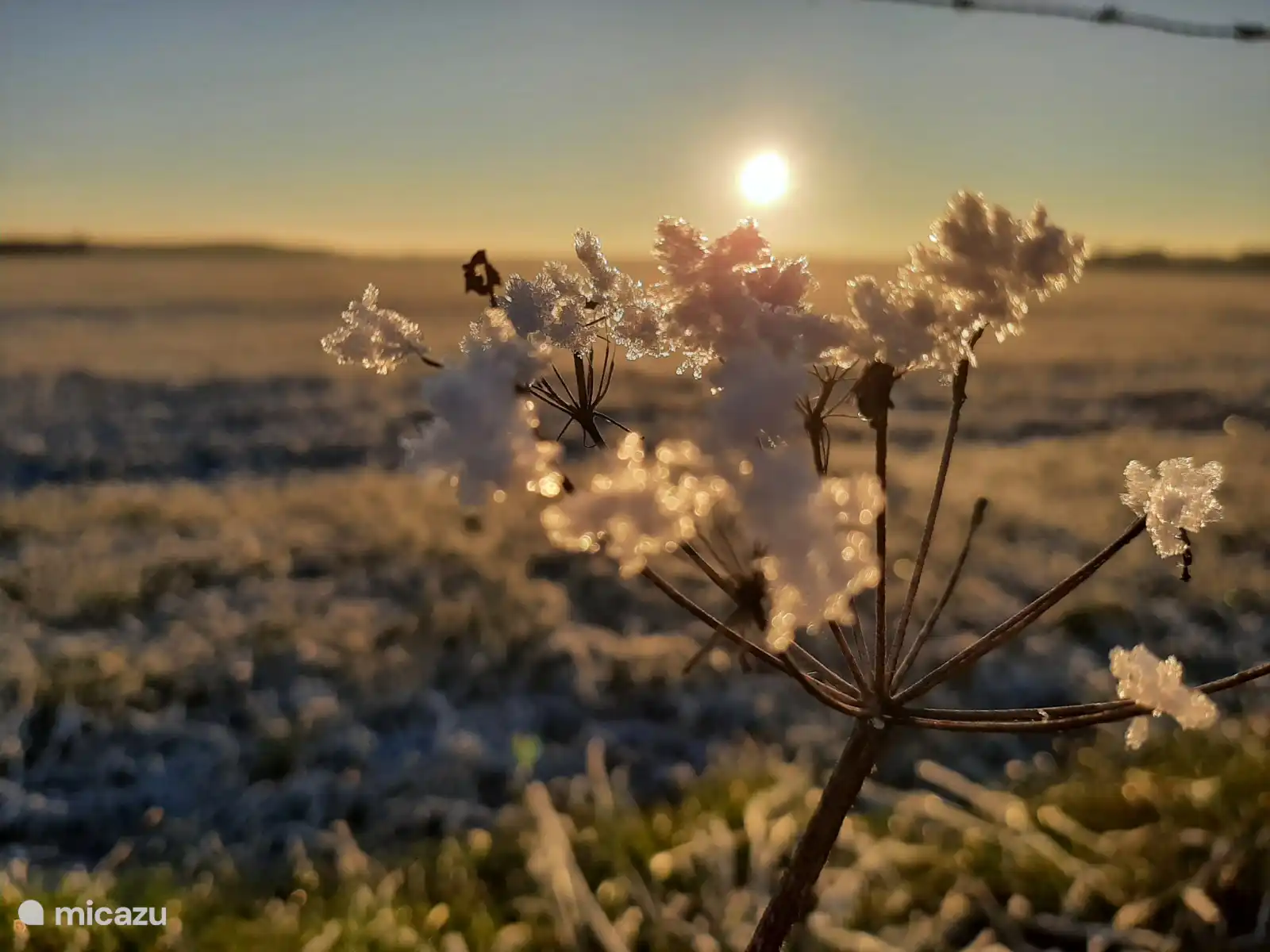 Belle région forêt et champs de bruyère 1600 hectares 
