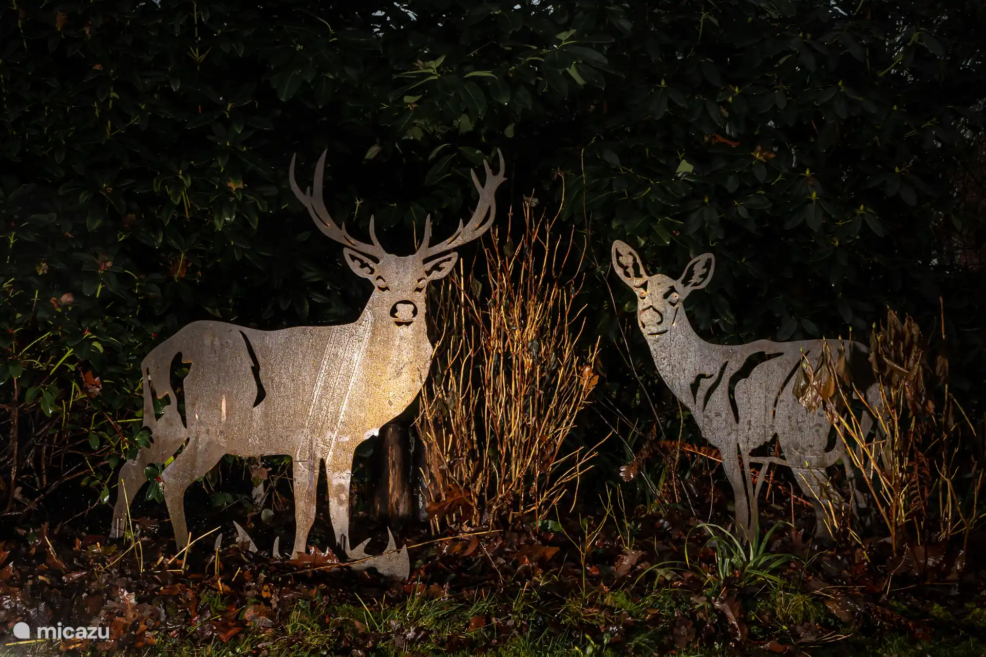 Ambiance à l’extérieur dans le grand jardin 