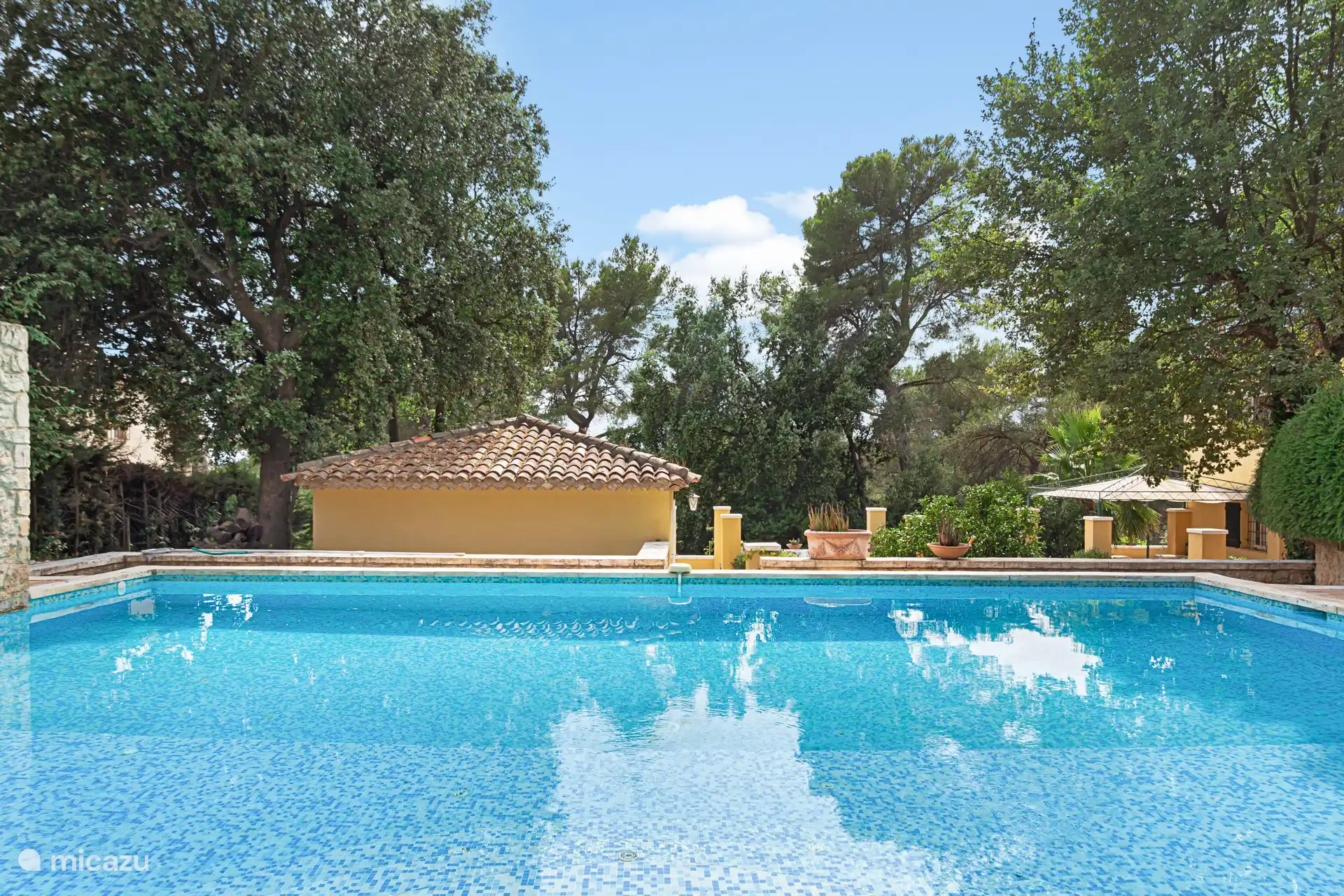 View from the pool kitchen/onto the swimming pool