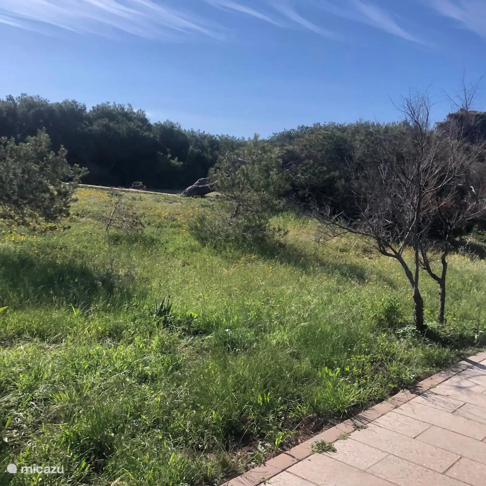 Parque natural en el apartamento 