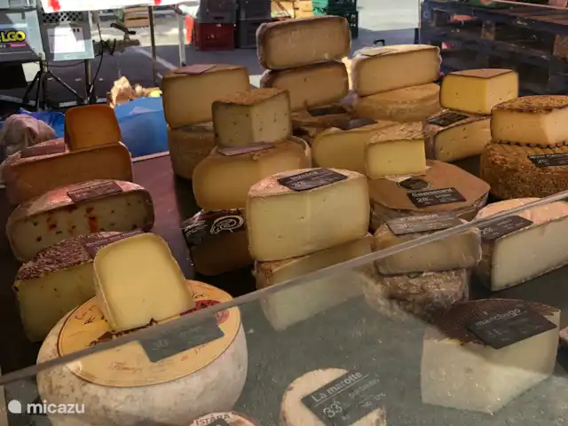 Le Manoir Des Fouilloux  | France, Charente, Aubeterre-sur-Dronne - manoir / château notre marché local tous les vendredis à Riberac