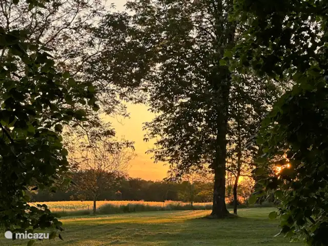 Le Manoir Des Fouilloux  | France, Charente, Aubeterre-sur-Dronne - manoir / château Coucher de soleil - un moment magique en Dordogne