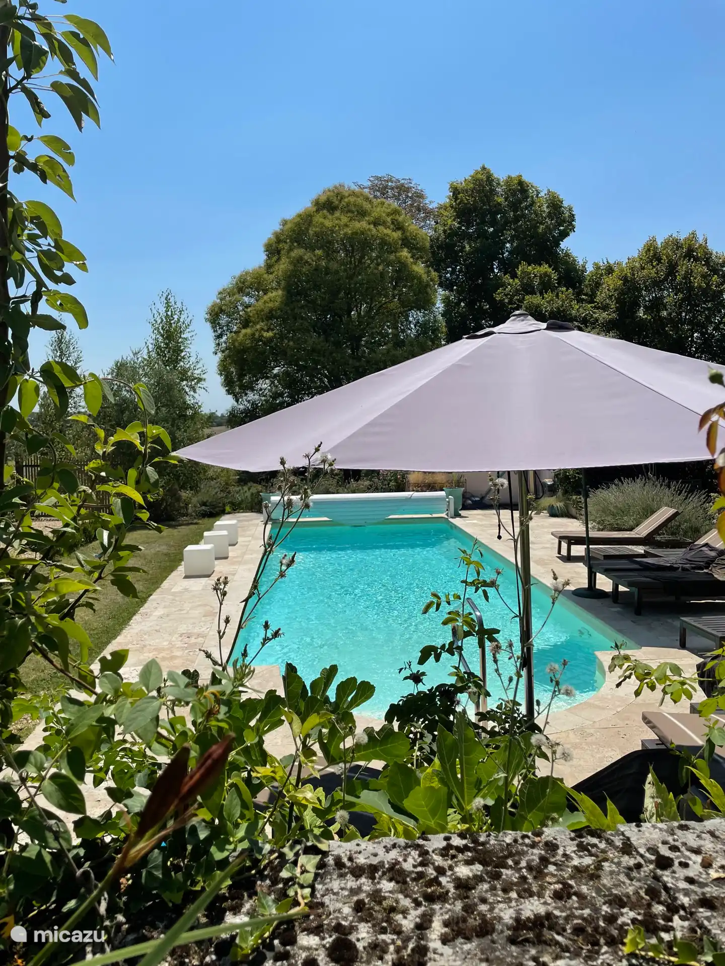 pool - and some shade !