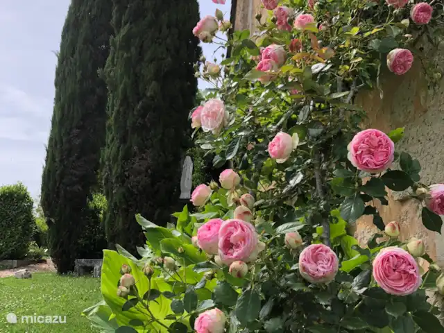 Le Manoir Des Fouilloux  | France, Charente, Aubeterre-sur-Dronne - manoir / château On adore les roses !