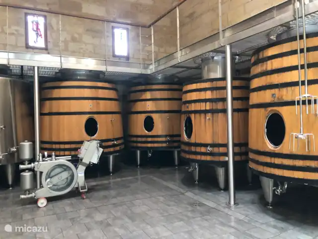 Le Manoir Des Fouilloux  | France, Charente, Aubeterre-sur-Dronne - manoir / château Dégustation de vins et visite de l’un des châteaux de classe mondiale à Saint-Emilion
