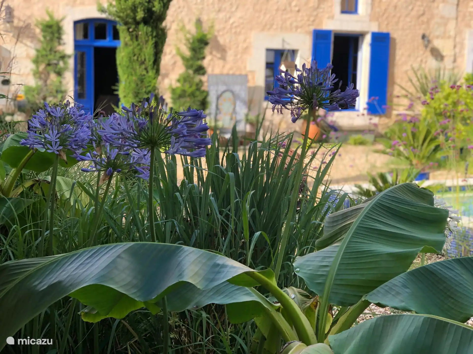 courtyard interior looking towards the back of the house 