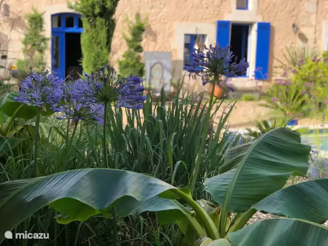 Le Manoir Des Fouilloux  | France, Charente, Aubeterre-sur-Dronne - manoir / château intérieur de la cour regardant vers l’arrière de la maison