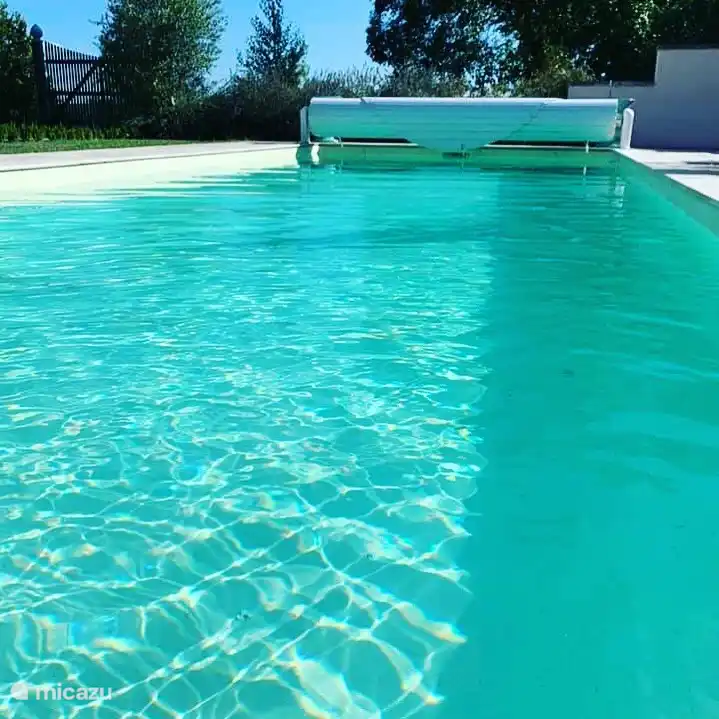 Heated salt water pool 10m x 4m 