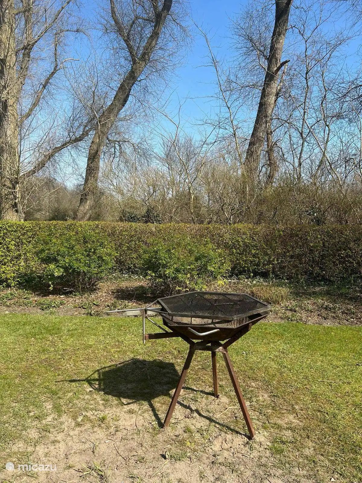 BBQ