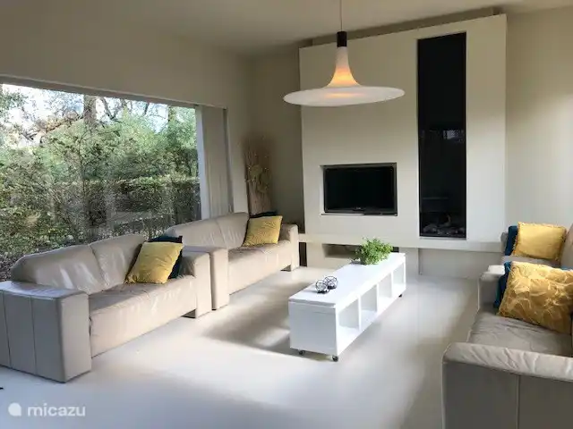 De woonkamer met tv en kachel